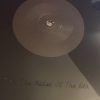 Pearl Jam ‎– Gigaton    vinilo doble nuevo - Imagen 5