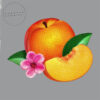 Phoenix – Bankrupt!   vinilo nuevo