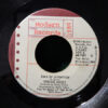 Stevie Nicks – Edge Of Seventeen   vinilo single 7″ usado
