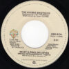 The Doobie Brothers – What A Fool Believes   vinilo single 7″ usado