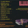 Spyro Gyra – Rites Of Summer   cd usado - Imagen 2