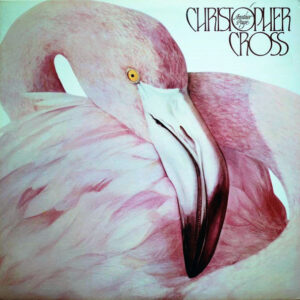 Christopher Cross – Another Page   vinilo usado