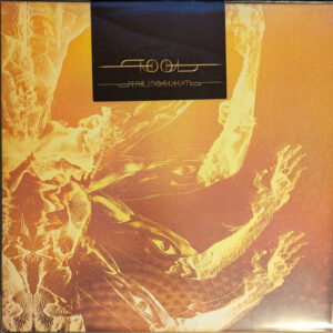 Tool – Fear Inoculum   vinilo triple nuevo