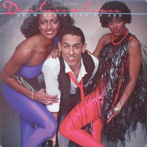 Destination – From Beginning To End vinilo usado