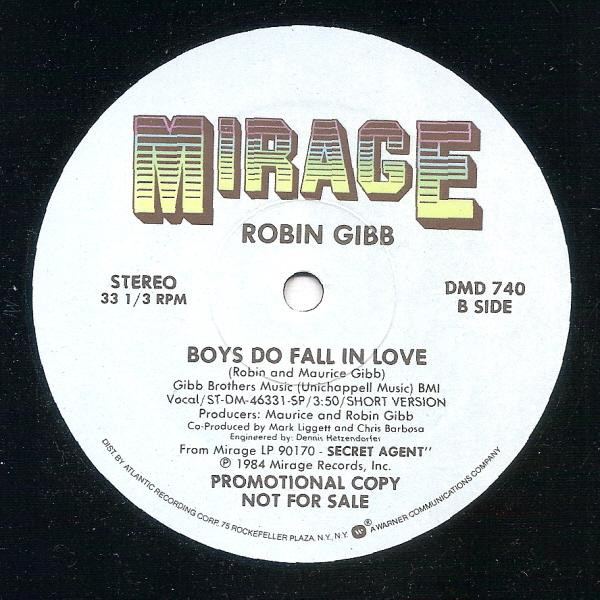 Robin Gibb – Boys Do Fall In Love maxi single usado - Imagen 2