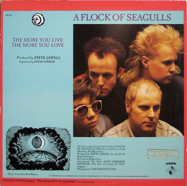 A Flock Of Seagulls – The More You Live, The More You Love maxi single usado - Imagen 2