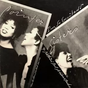 Pointer Sisters – I'm So Excited!  maxi single usado