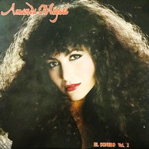 Amanda Miguel – El Sonido Vol. 2 vinilo usado