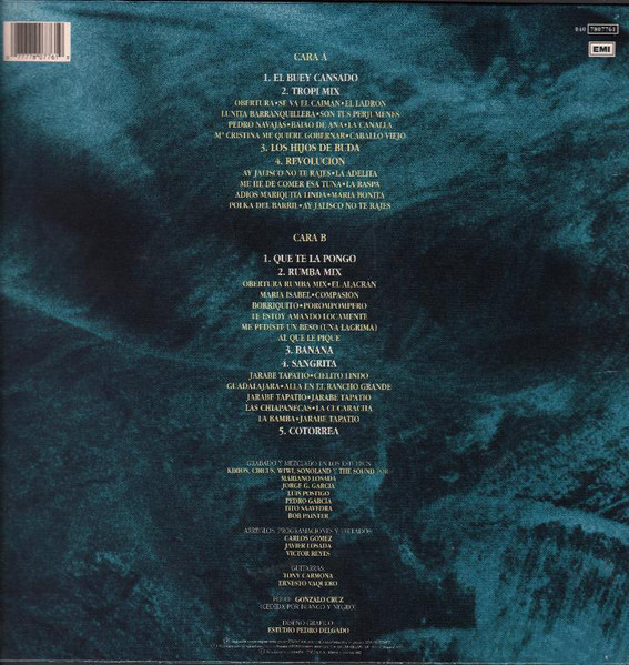 Garibaldi – Grandes Exitos De Garibaldi vinilo usado - Imagen 2