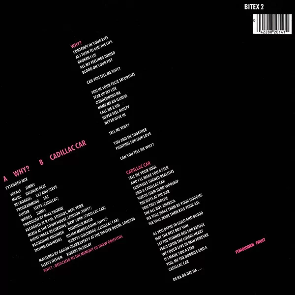 Bronski Beat – Why? maxi single usado - Imagen 2
