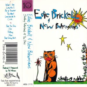 Edie Brickell & New Bohemians – Shooting Rubberbands At The Stars   cassette usado