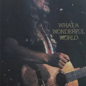 Willie Nelson – What A Wonderful World cassette usado