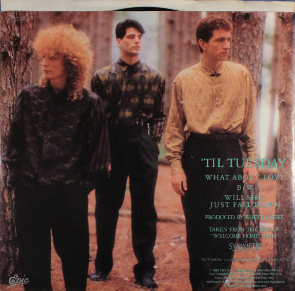 'Til Tuesday – What About Love vinilo single 7″ usado - Imagen 2
