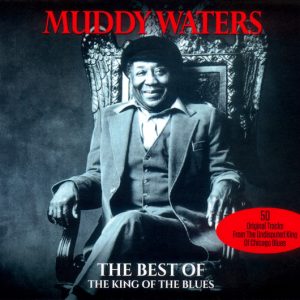 Muddy Waters – The Best Of The King Of The Blues  cd doble nuevo